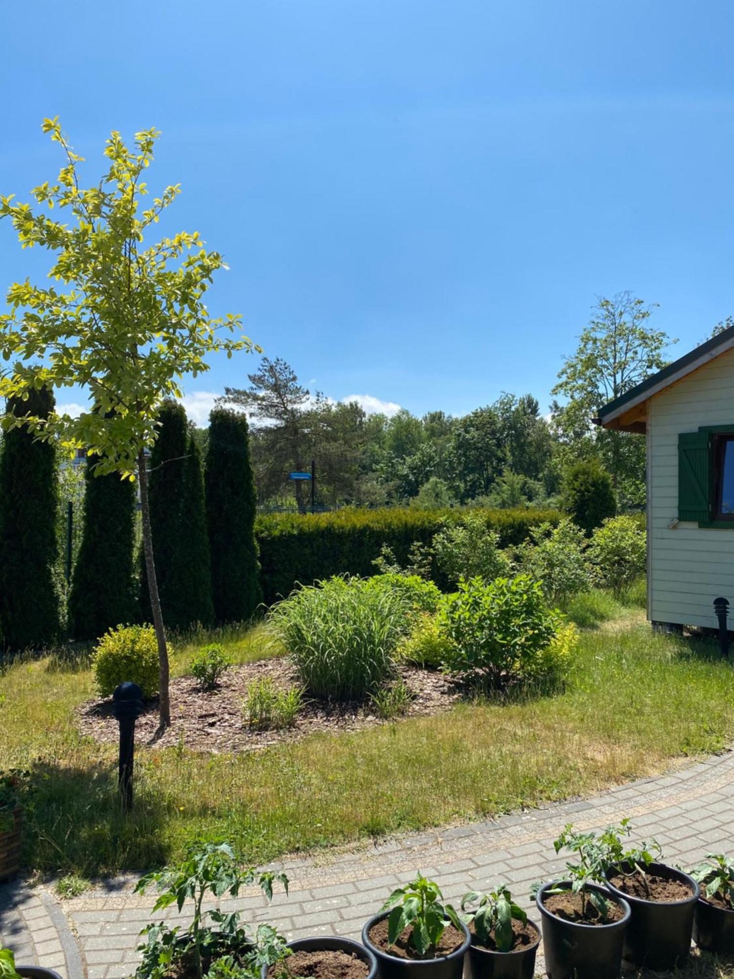 Sloneczna Polana Villa Mielno  Dış mekan fotoğraf